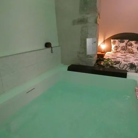 Le Duche Apartment Dijon
